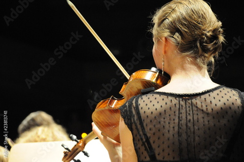 Obrazy filharmonia  pierwsze-skrzypce