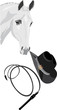 Cowboy hat, whip and horse head. Vector