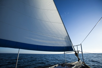 Wall Mural - Sailing in Good Wind