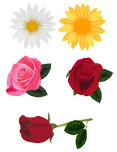 Group Of Beautiful Flowers. Photo-realistic Vector.