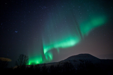 Wall Mural - aurora borealis curtains rippling in the sky