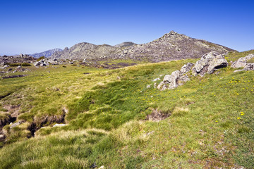 Wall Mural - Sierra de Gredos. Castilla León. España.