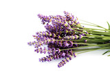 Fototapeta Lawenda - lavender flowers