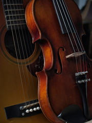 Stringed Instruments