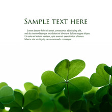 Green Clover Leafs Border With Space For Text.