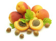 Apricots and wood nut