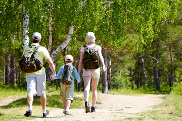 Wall Mural - Summer walk