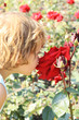 dziewczynka wącha dużą czerwoną różę