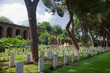 tombe in cimitero di guerra con pini e rovine romane