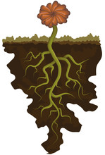 Illustration Of Flower With Deep Roots