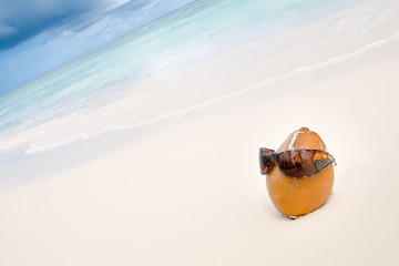 Sticker - Coconut in sun glasses on the white sand beach