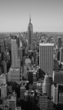 Fototapeta Miasta - New York City Panorama black & white