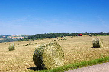 Canvas Print - botte de blé,  Parc Naturel Régional du Vexin français