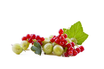Wall Mural - Red currants and green gooseberry