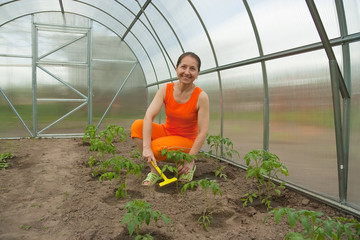 Wall Mural - Woman Gardener