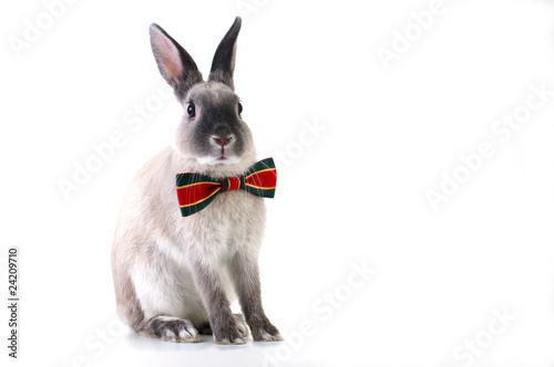 Fotolia アドビストックのデザイン かべいろ Com おしゃれ壁紙 Fotolia アドビストックのデザイン かべいろ Com おしゃれ壁紙