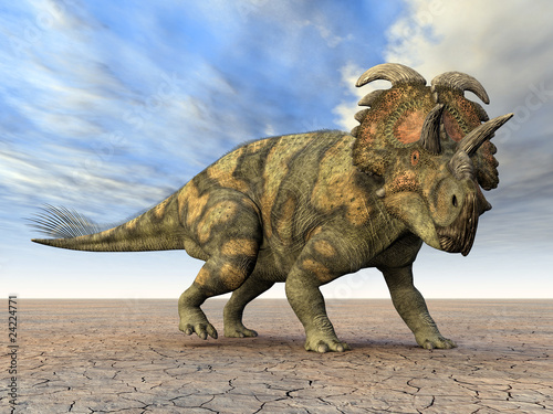 albertaceratops