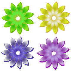 Wall Mural - floral design elements