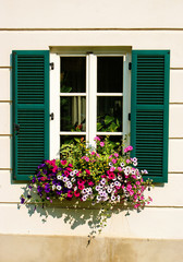 Flowerbox on a window.