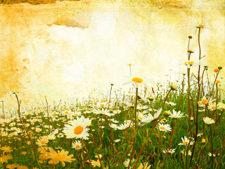 Sticker - Beautiful grunge background with daisies