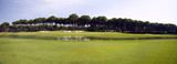 Fototapeta Krajobraz - panorama of golf club, landscape