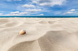 canvas print picture - Shells on a beach