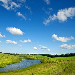 Poster - Summer landscape