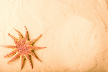 Wall Mural - starfish on sand background