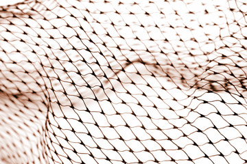 Net