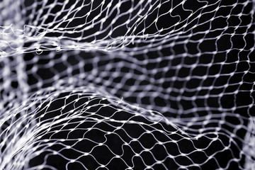 Net
