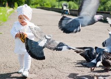 Little Girl And Pigeons