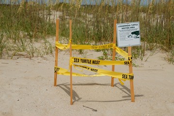 Sea Turtle Nesting Sign