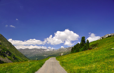 Canvas Print - Wanderweg im Ötztal - Österreich