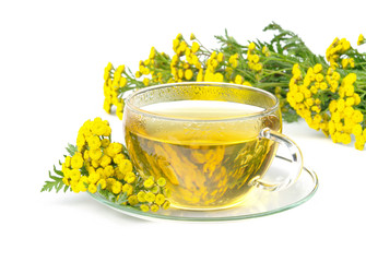 Poster - Tee Rainfarn - tea tansy 02