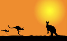 Kangaroo On The Sunset
