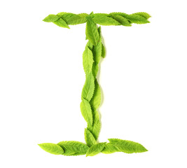 Wall Mural - leaf letters