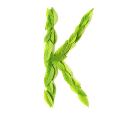 Wall Mural - leaf letters