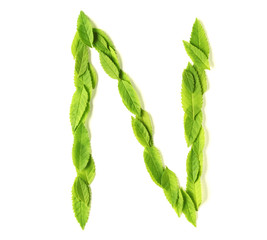 Wall Mural - leaf letters