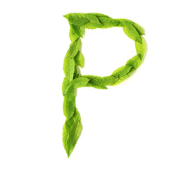 Wall Mural - leaf letters