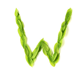 Wall Mural - leaf letters
