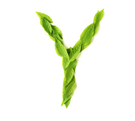 Wall Mural - leaf letters