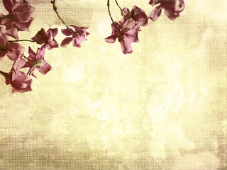 Sticker - Beautiful grunge background with magnolia