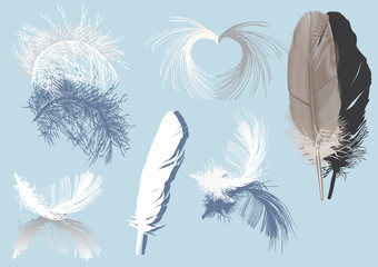 Sticker - feathers and shadows isolated on blue