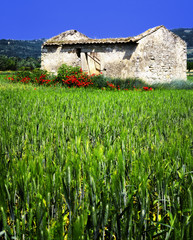 Wall Mural - paysage du Lubéron 3