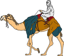 Vector - Bedouin Riding A Camel,isolated On Background
