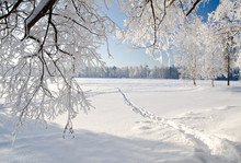 Winter Park In Snow