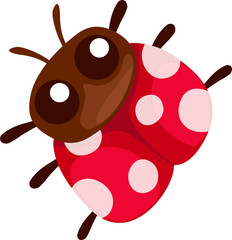 Poster - Lady bug