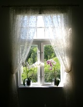 Summer Window