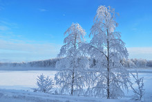 Winter Melody