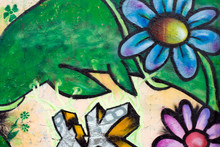 Flower On Graffiti Wall